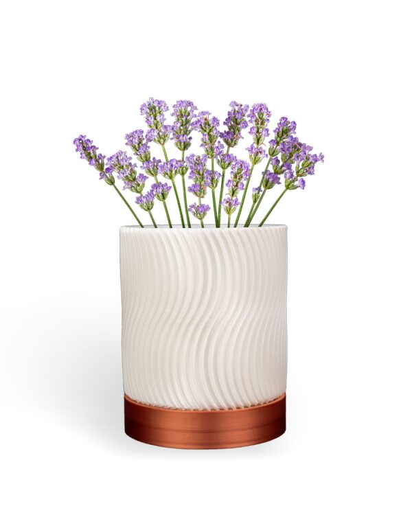 Cylindrix Wall Planter Set for Modern Decor Cylindrix modern 3D printed wall planter set mounted on an indoor wall with succulents