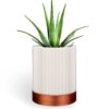 Cylindrix Version 3 3D printed wall planter mounted on a wall with a small succulent
