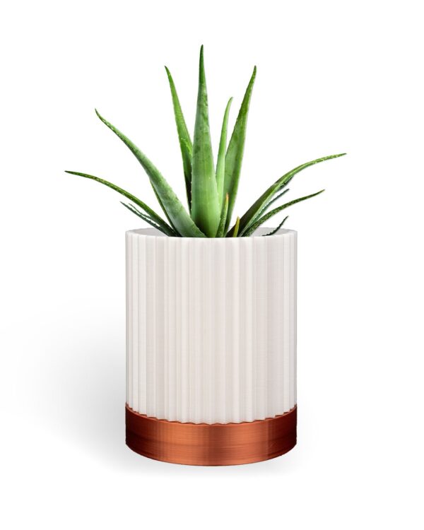 Cylindrix Version 3 3D printed wall planter mounted on a wall with a small succulent