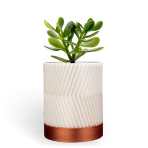 Cylindrix Wall Planter Version 2 | Designed by STLFlix | Layer By Layer Prints