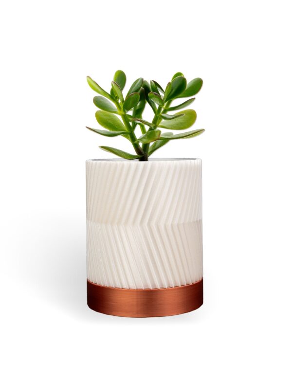 3D printed Cylindrix wall planter version 2 mounted on an indoor wall with a small plant