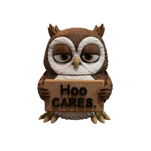 Hoo Cares 3D printed owl figurine by SpaceMonkey for shelf decor or desk decor