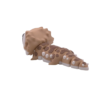 Bearded Dragon Figurine by 3DGOB view 7